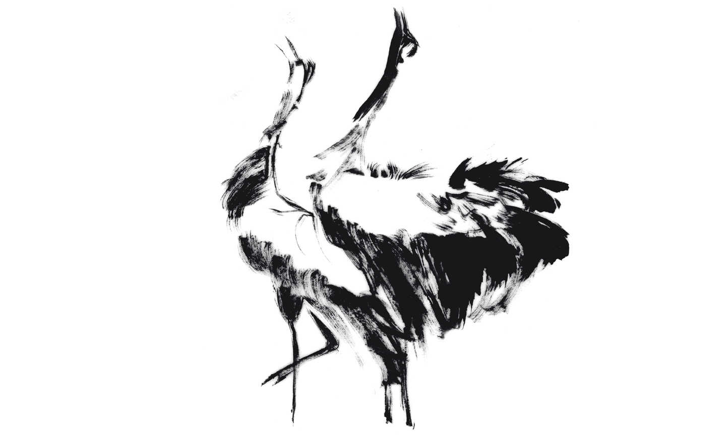 crane