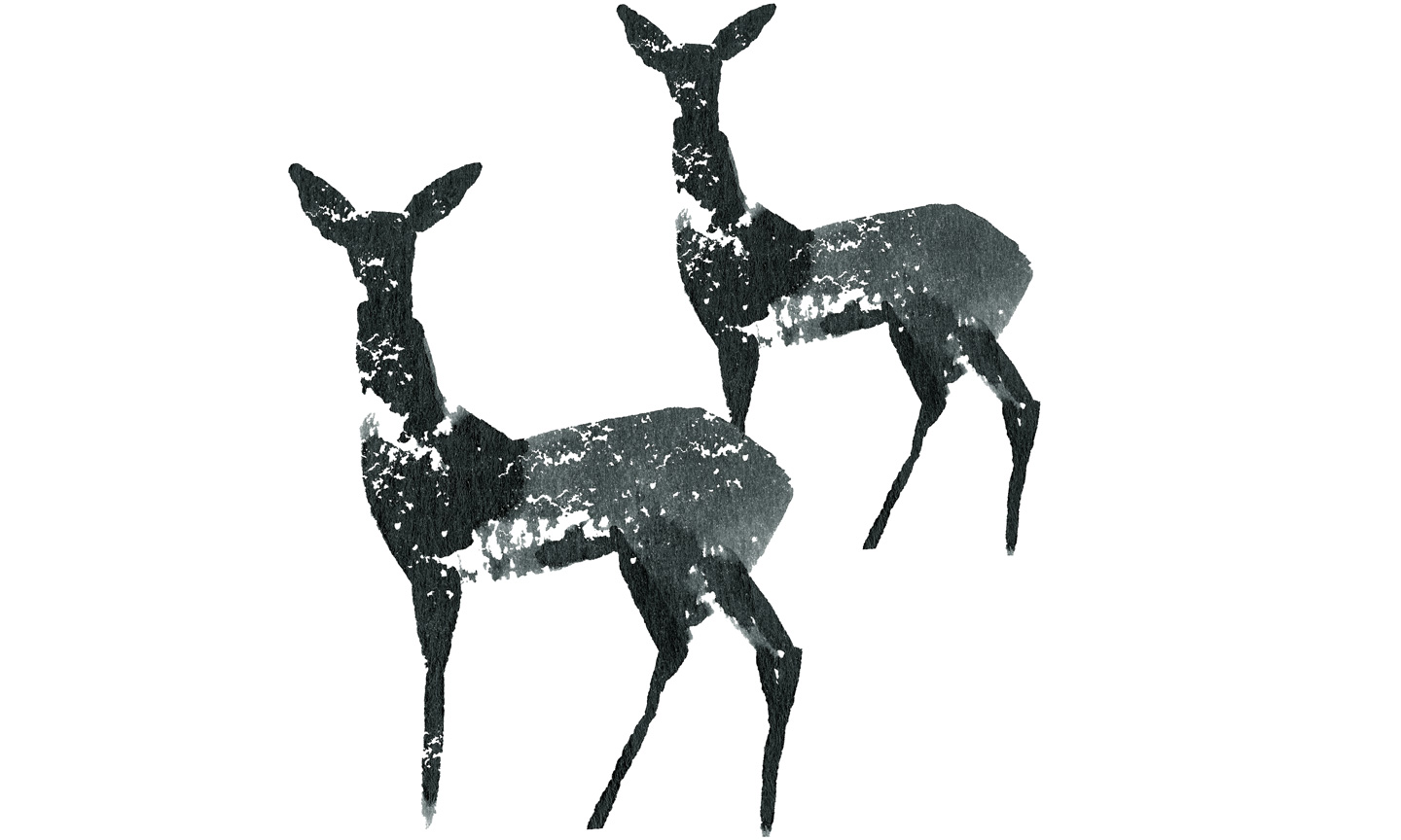 christmas-card-project