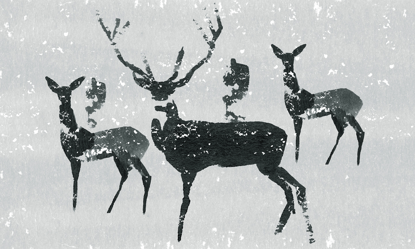 christmas-card-illustration